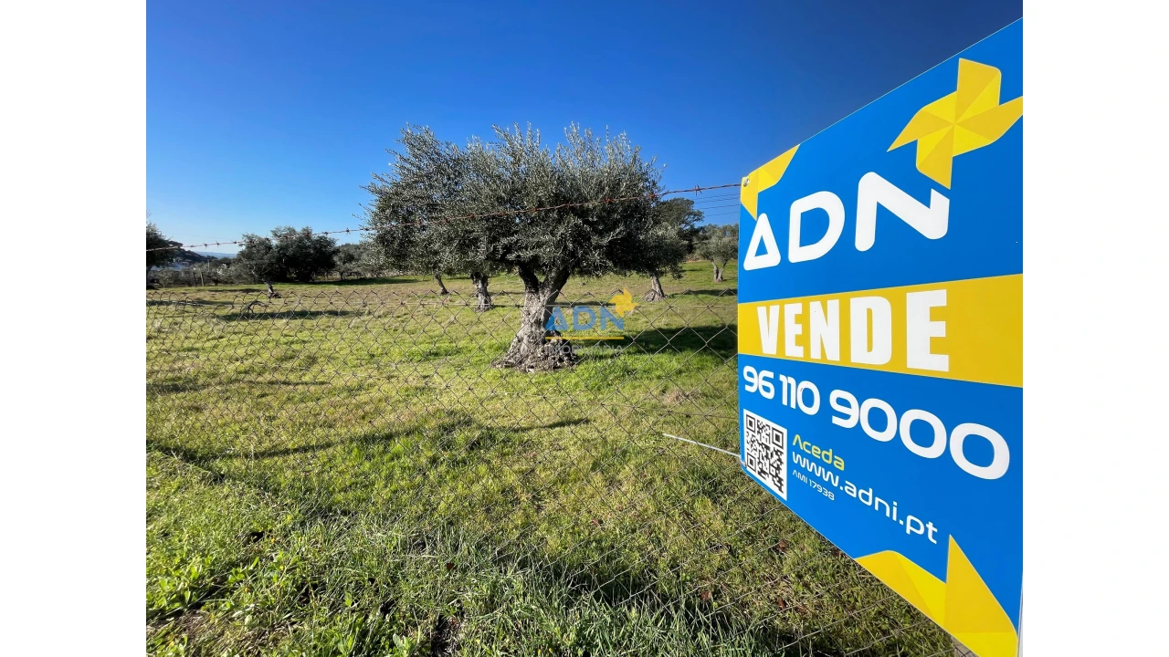 Terreno para Venda em Zebreira e Segura Foto 5