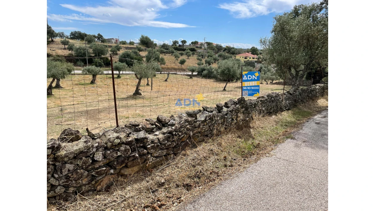 Terreno para Venda em Zebreira e Segura Foto 13