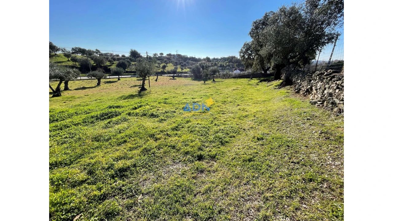Terreno para Venda em Zebreira e Segura Foto 18