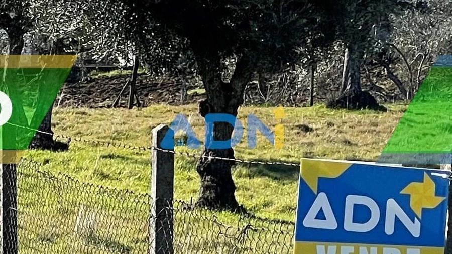 Terreno para Venda em Zebreira e Segura