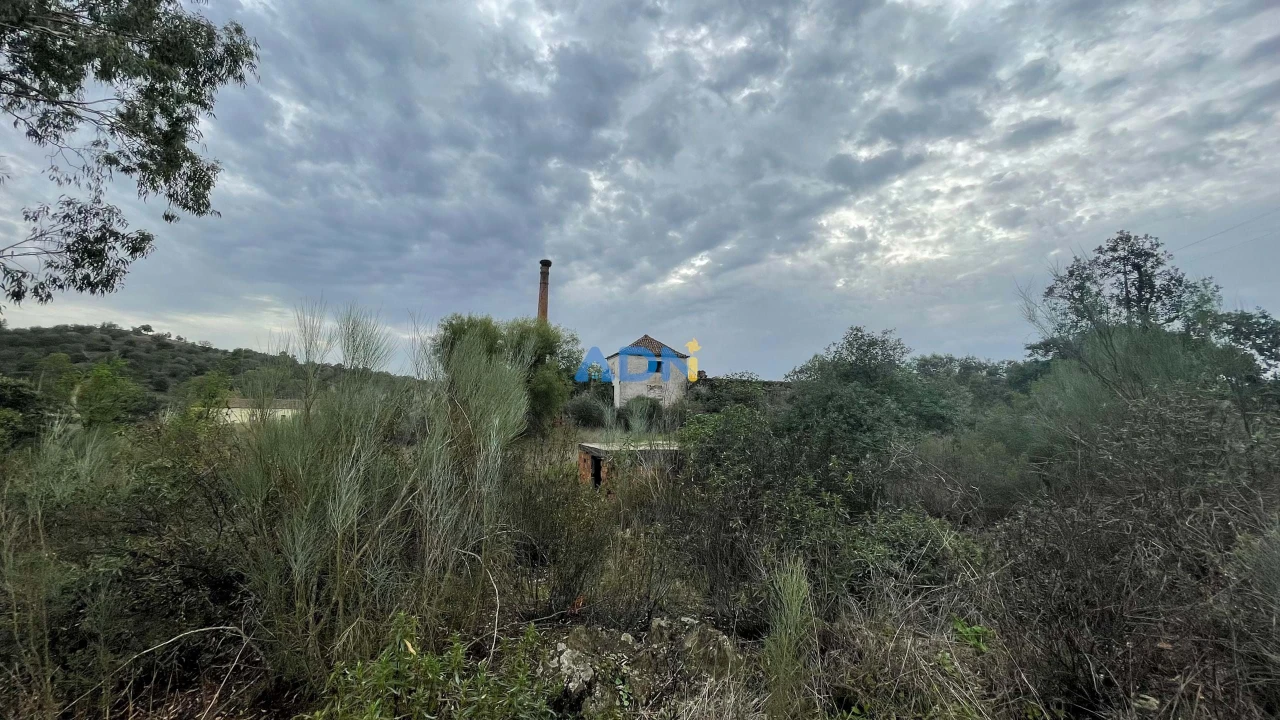 Terreno para Venda em Castelo Branco Foto 20