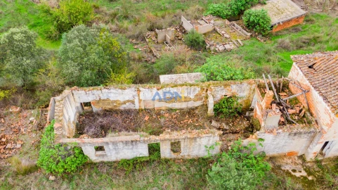 Terreno para Venda em Castelo Branco