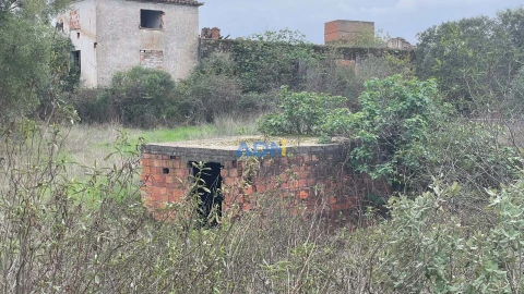 Terreno para Venda em Castelo Branco