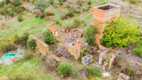 Terreno para Venda em Castelo Branco