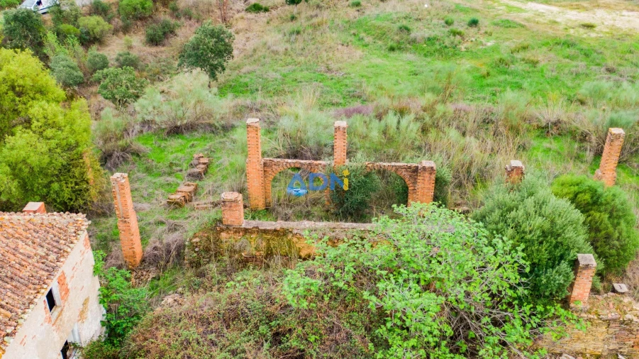 Terreno para Venda em Castelo Branco Foto 11