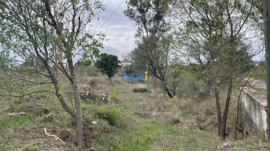 Terreno para Venda em Castelo Branco Foto 15