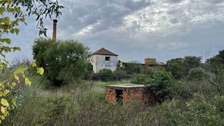 Terreno para Venda em Castelo Branco Foto 16