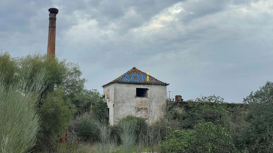 Terreno para Venda em Castelo Branco Foto 19