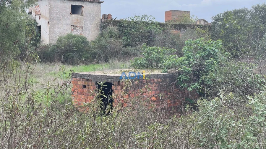 Terreno para Venda em Castelo Branco Foto 17