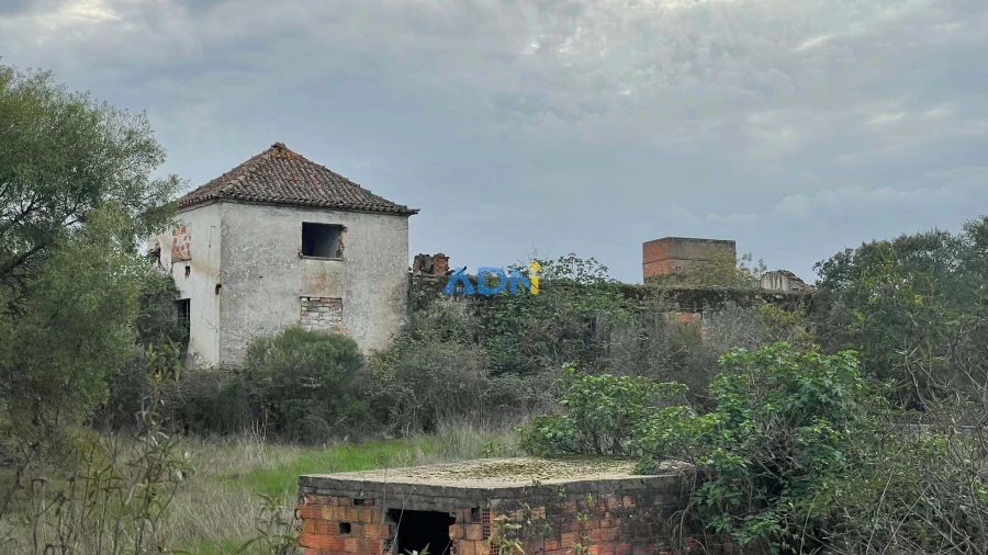 Terreno para Venda em Castelo Branco Foto 5