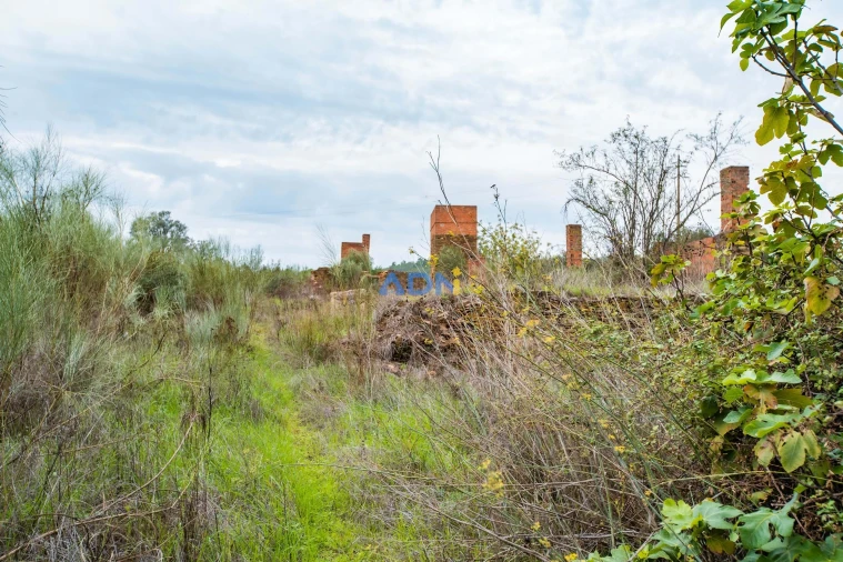 Terreno para Venda em Castelo Branco Foto 22