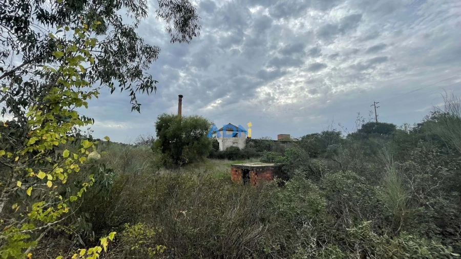 Terreno para Venda em Castelo Branco Foto 18