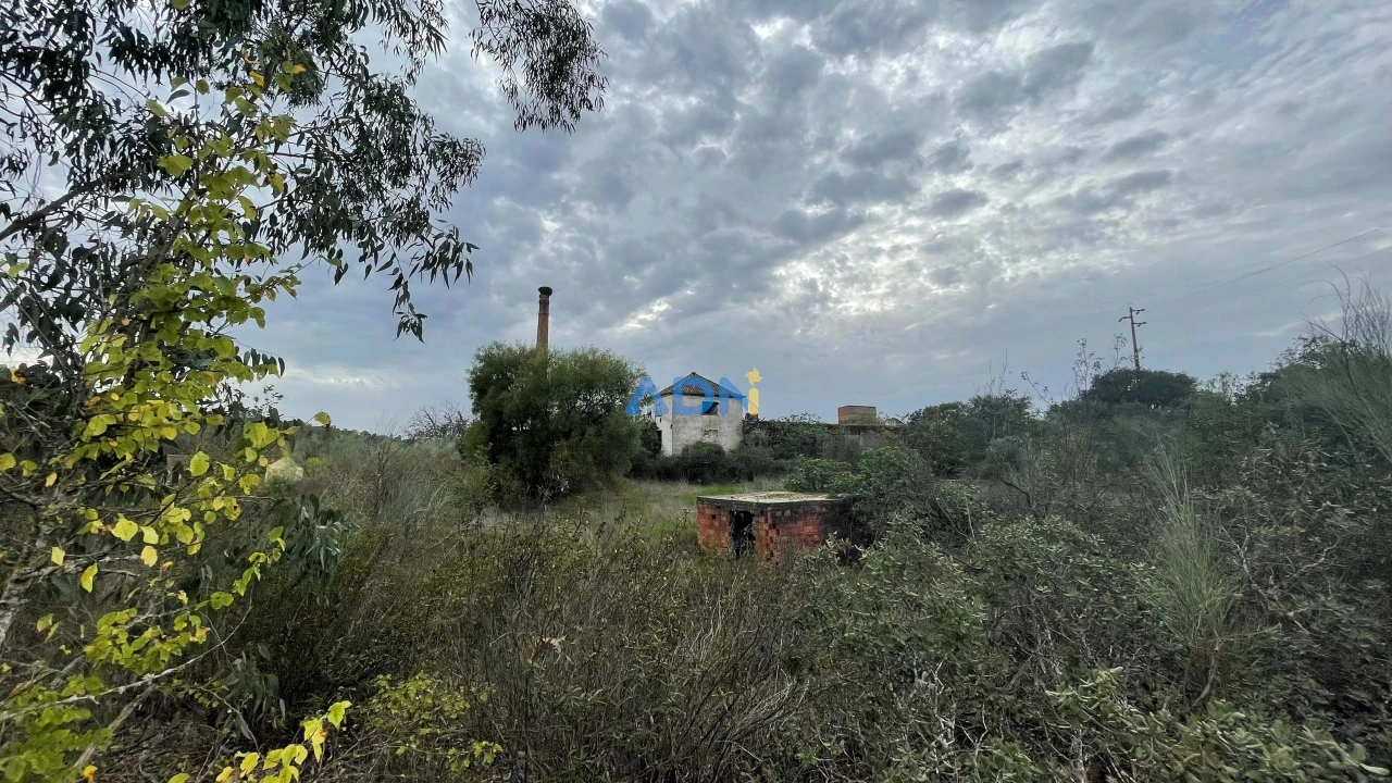 Terreno para Venda em Castelo Branco Foto 18