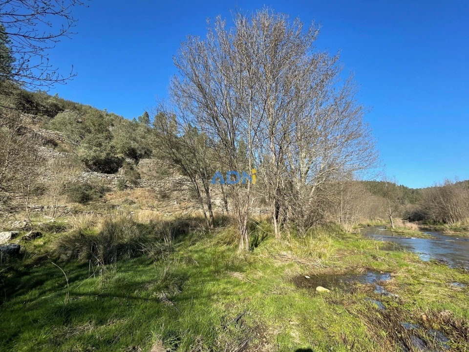 Terreno para Venda em Castelo Branco Foto 1