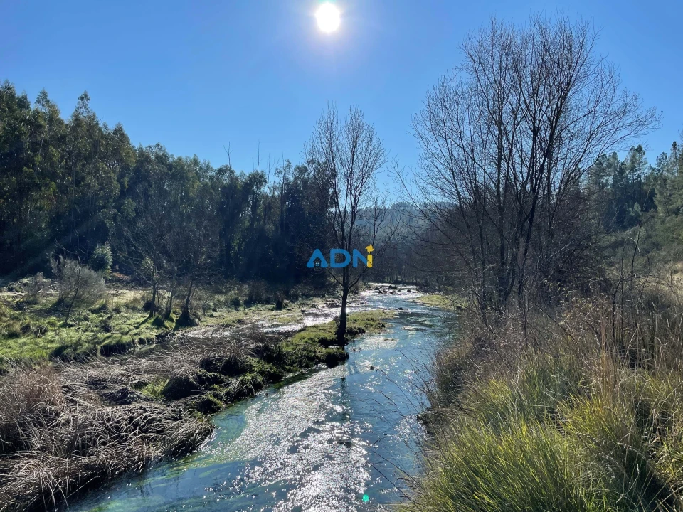 Terreno para Venda em Castelo Branco Foto 6