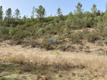 Terreno para Venda em Castelo Branco