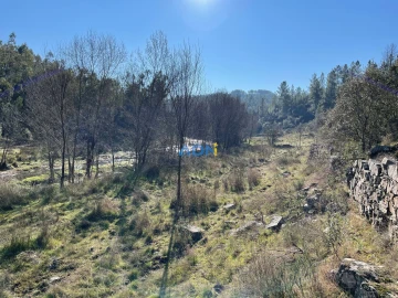 Terreno para Venda em Castelo Branco
