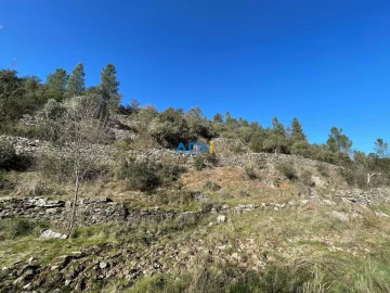 Terreno para Venda em Castelo Branco