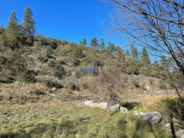 Terreno para Venda em Castelo Branco