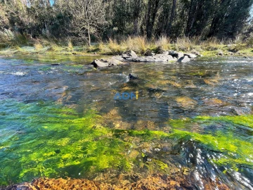 Terreno para Venda em Castelo Branco