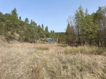 Terreno para Venda em Castelo Branco