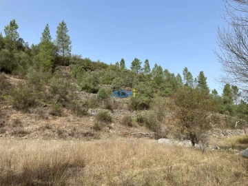 Terreno para Venda em Castelo Branco