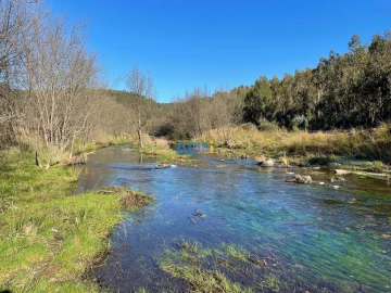 Terreno para Venda em Castelo Branco