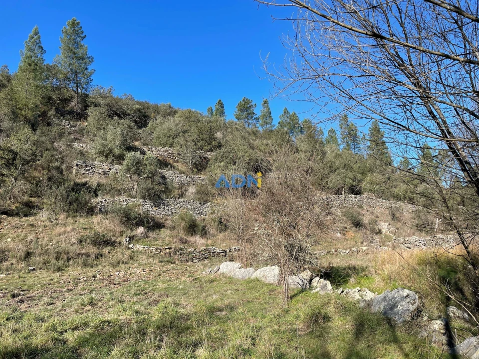 Terreno para Venda em Castelo Branco Foto 9