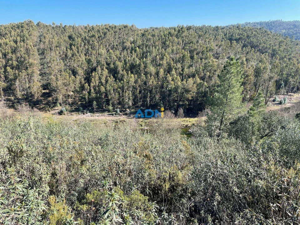 Terreno para Venda em Castelo Branco Foto 10