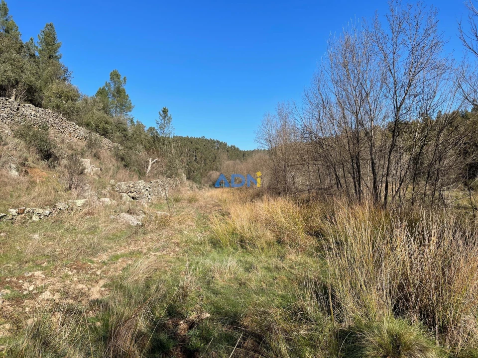 Terreno para Venda em Castelo Branco Foto 2
