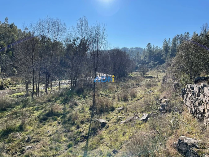 Terreno para Venda em Castelo Branco Foto 7