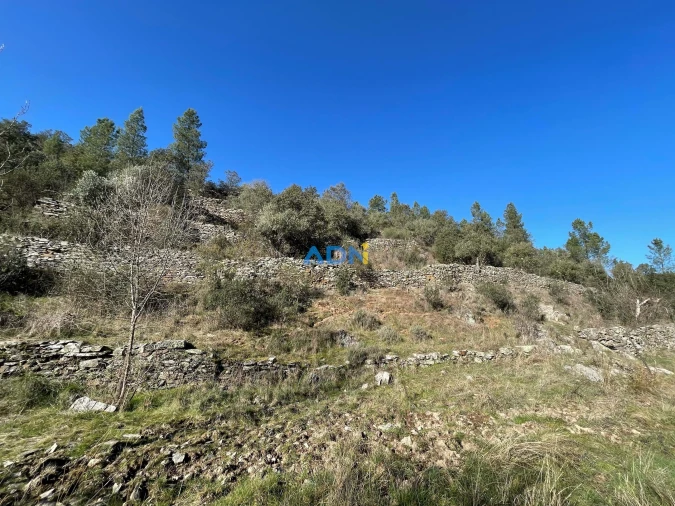Terreno para Venda em Castelo Branco Foto 3