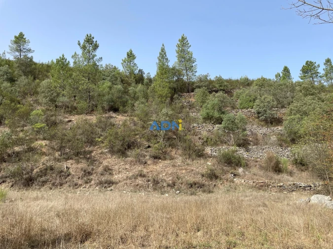 Terreno para Venda em Castelo Branco Foto 15