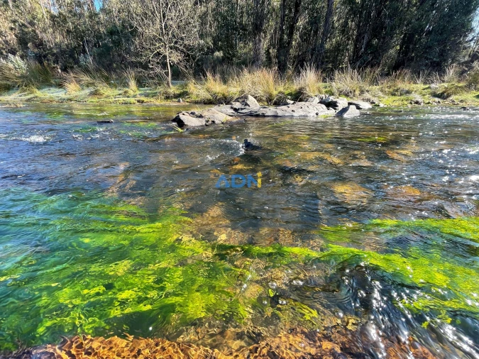 Terreno para Venda em Castelo Branco Foto 5
