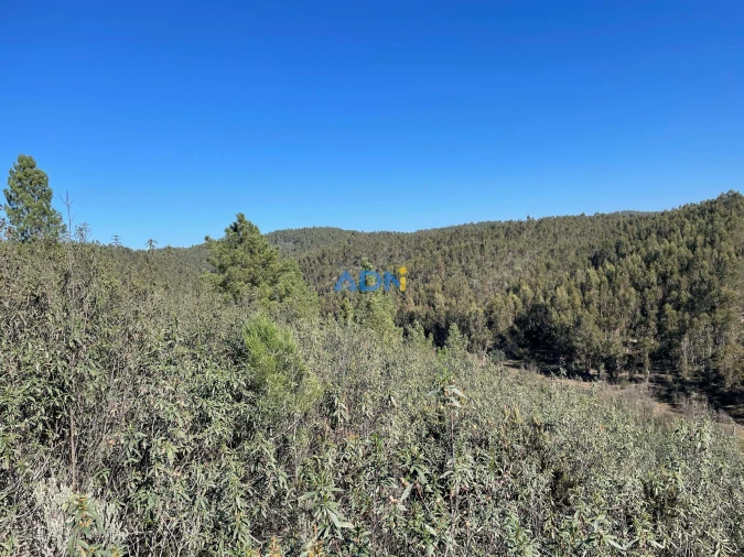 Terreno para Venda em Castelo Branco Foto 11