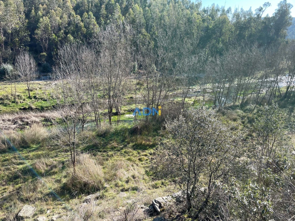 Terreno para Venda em Castelo Branco Foto 8