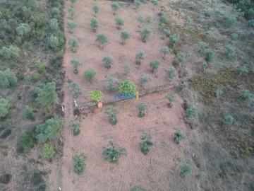 Terreno para Venda em Castelo Branco