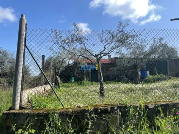 Terreno para Venda em Castelo Branco