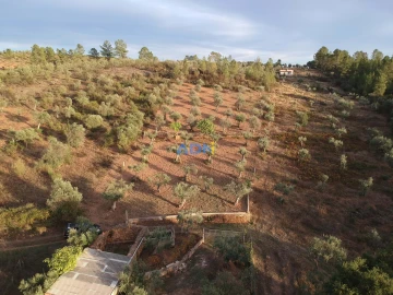 Terreno para Venda em Castelo Branco