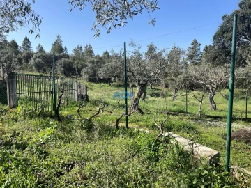 Terreno para Venda em Castelo Branco