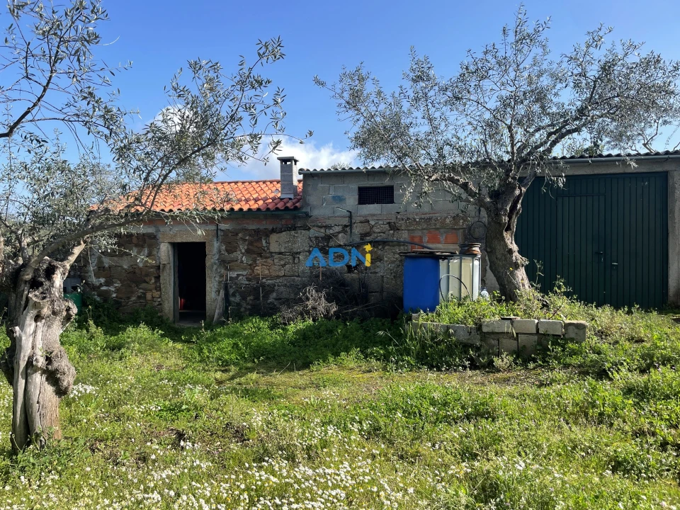 Terreno para Venda em Castelo Branco Foto 1