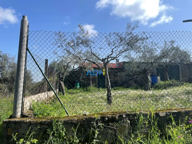 Terreno para Venda em Castelo Branco Foto 13