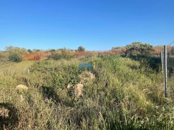Terreno para Venda em Castelo Branco