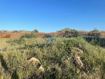 Terreno para Venda em Castelo Branco