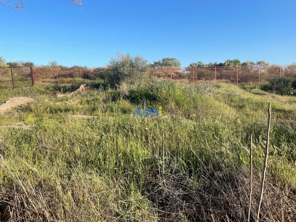 Terreno para Venda em Castelo Branco Foto 7