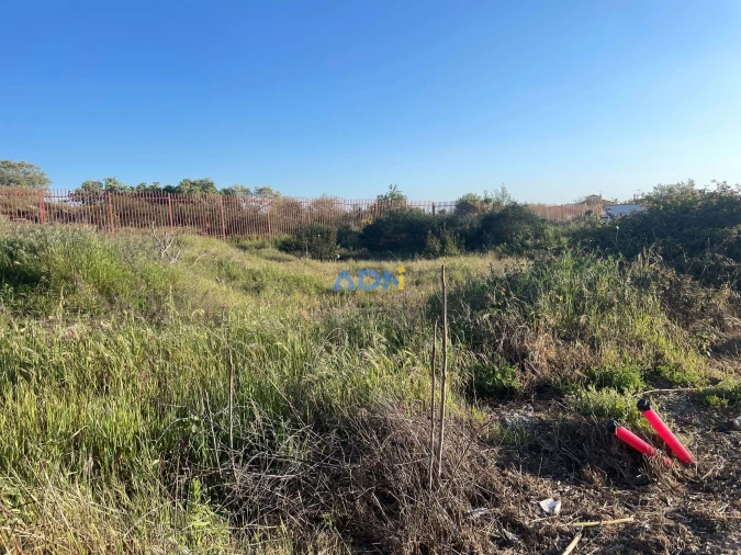 Terreno para Venda em Castelo Branco Foto 8