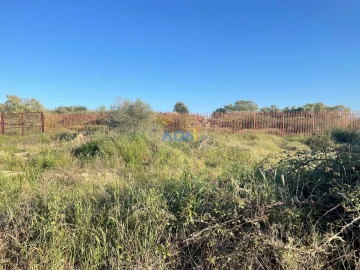 Terreno para Venda em Castelo Branco