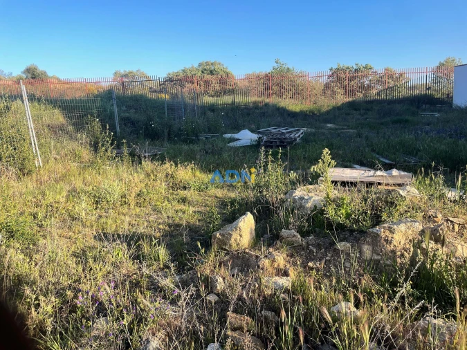 Terreno para Venda em Castelo Branco Foto 13