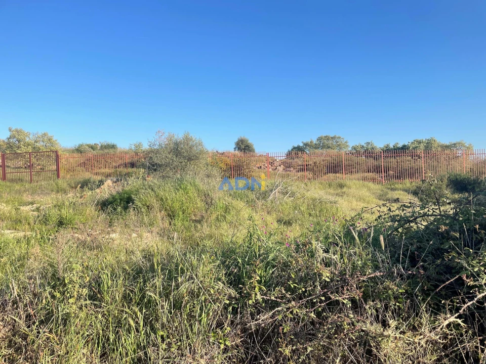 Terreno para Venda em Castelo Branco Foto 7