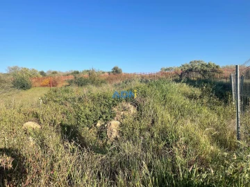 Terreno para Venda em Castelo Branco